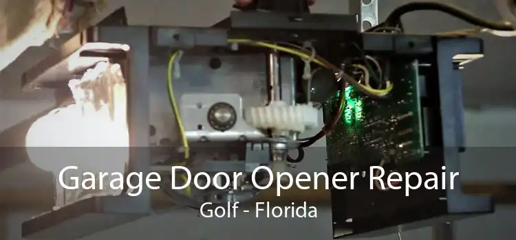 Garage Door Opener Repair Golf - Florida