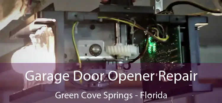 Garage Door Opener Repair Green Cove Springs - Florida