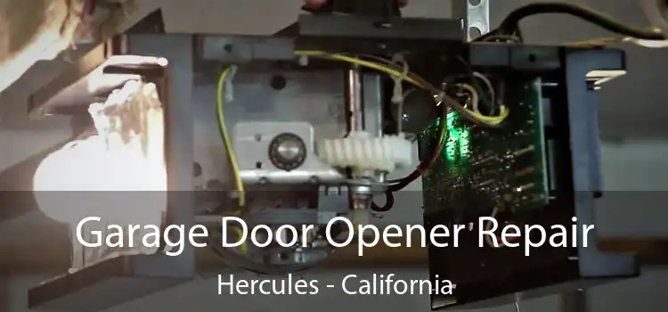 Garage Door Opener Repair Hercules - California