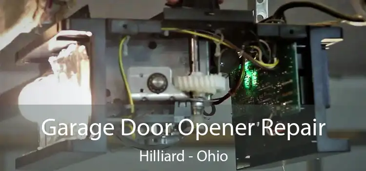 Garage Door Opener Repair Hilliard - Ohio