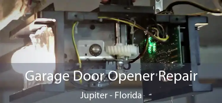 Garage Door Opener Repair Jupiter - Florida