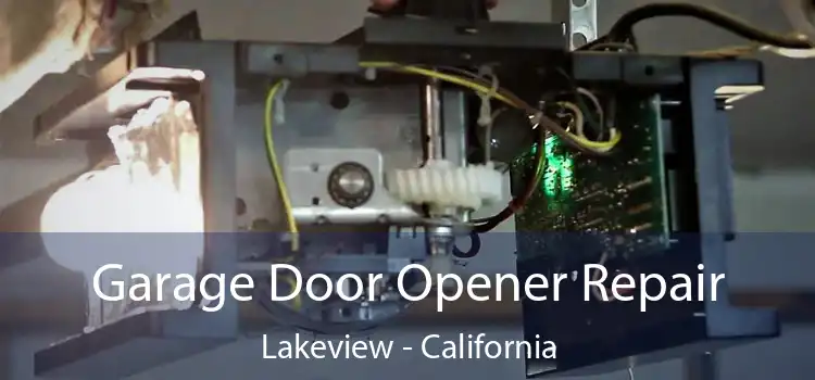 Garage Door Opener Repair Lakeview - California