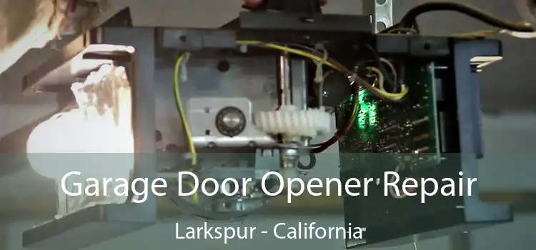 Garage Door Opener Repair Larkspur - California