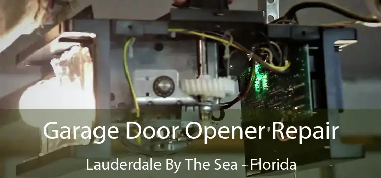 Garage Door Opener Repair Lauderdale-by-the-Sea - Florida