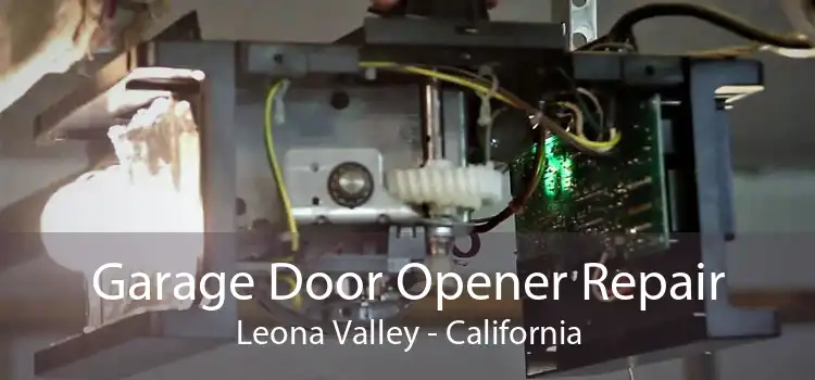 Garage Door Opener Repair Leona Valley - California