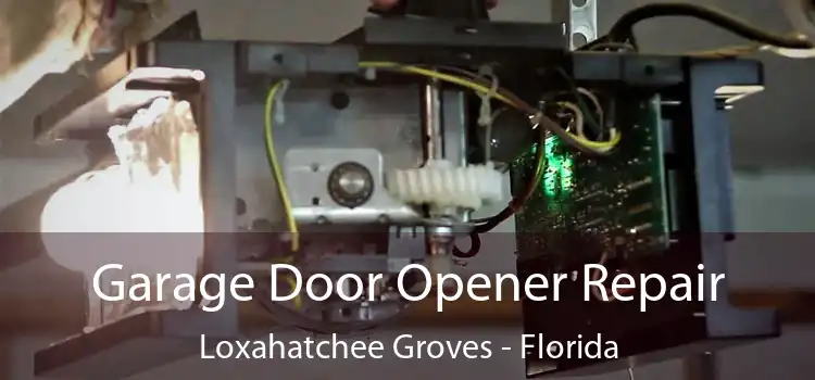 Garage Door Opener Repair Loxahatchee Groves - Florida