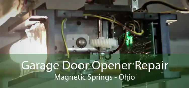 Garage Door Opener Repair Magnetic Springs - Ohio
