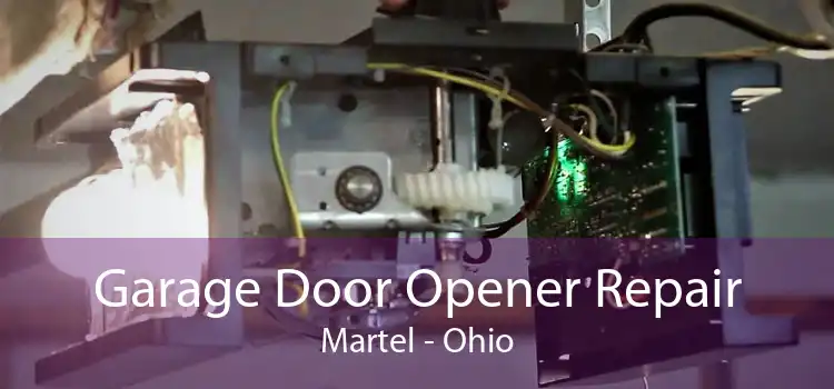 Garage Door Opener Repair Martel - Ohio