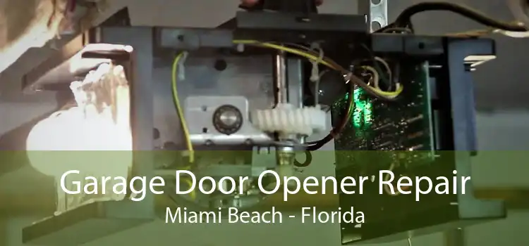 Garage Door Opener Repair Miami Beach - Florida