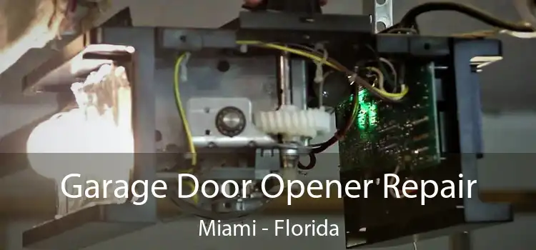 Garage Door Opener Repair Miami - Florida