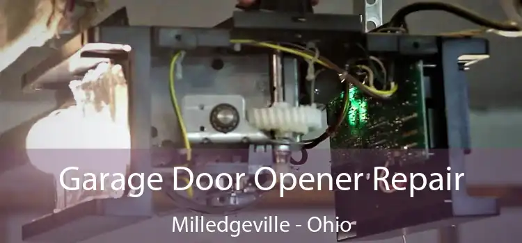 Garage Door Opener Repair Milledgeville - Ohio