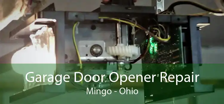 Garage Door Opener Repair Mingo - Ohio