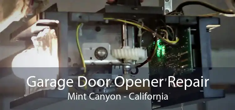Garage Door Opener Repair Mint Canyon - California
