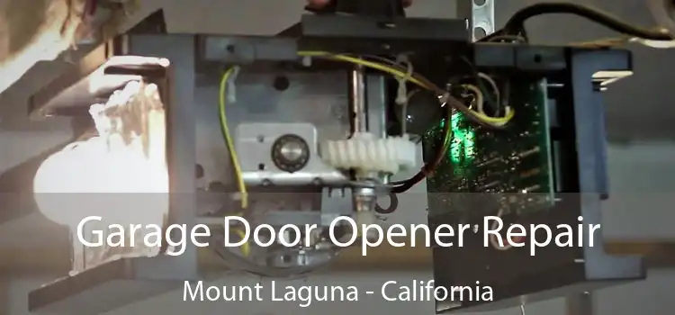 Garage Door Opener Repair Mount Laguna - California