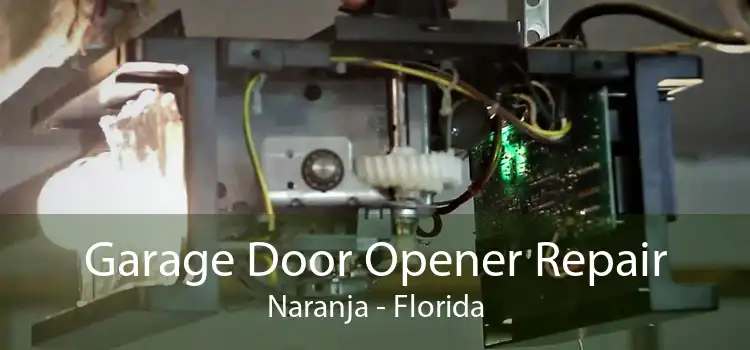 Garage Door Opener Repair Naranja - Florida