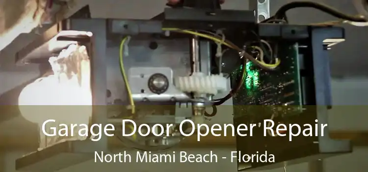 Garage Door Opener Repair North Miami Beach - Florida