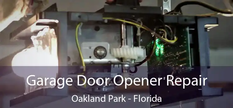 Garage Door Opener Repair Oakland Park - Florida