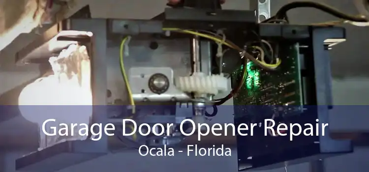 Garage Door Opener Repair Ocala - Florida