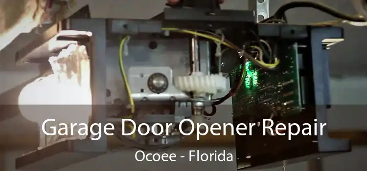 Garage Door Opener Repair Ocoee - Florida