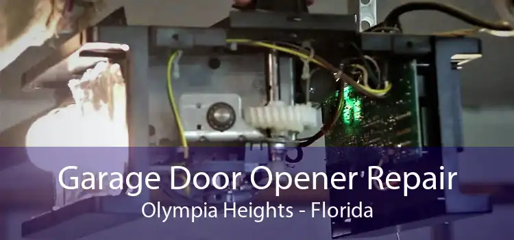 Garage Door Opener Repair Olympia Heights - Florida