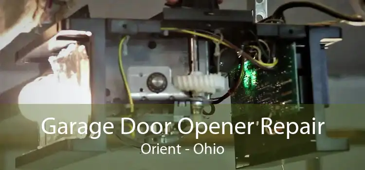 Garage Door Opener Repair Orient - Ohio