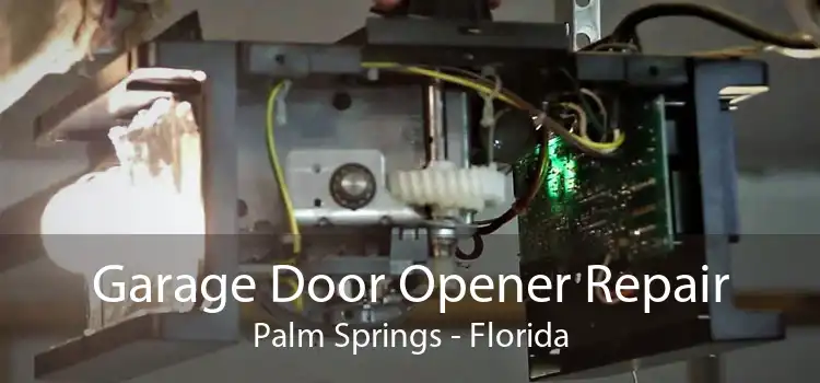 Garage Door Opener Repair Palm Springs - Florida