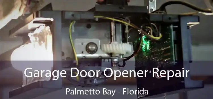 Garage Door Opener Repair Palmetto Bay - Florida