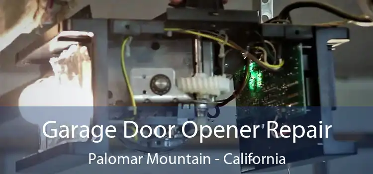 Garage Door Opener Repair Palomar Mountain - California