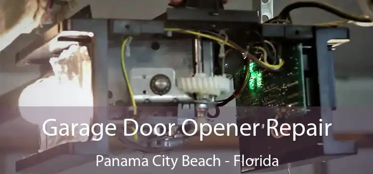 Garage Door Opener Repair Panama City Beach - Florida