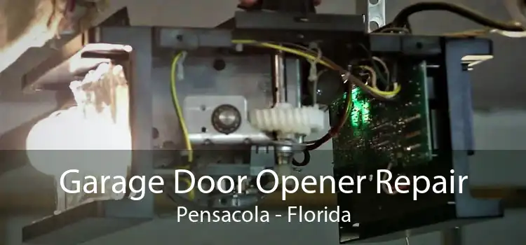 Garage Door Opener Repair Pensacola - Florida