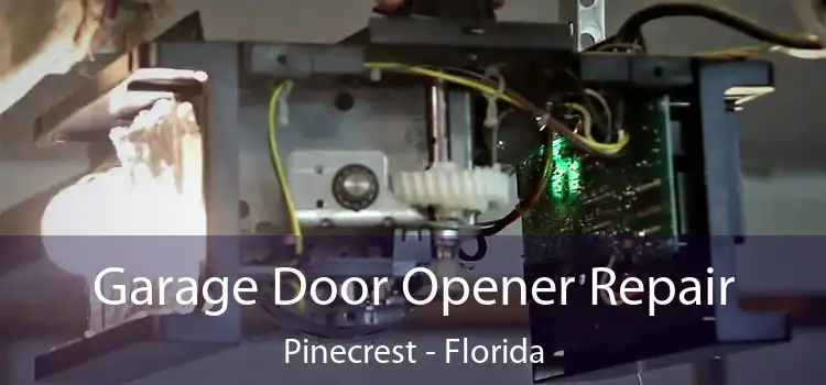 Garage Door Opener Repair Pinecrest - Florida