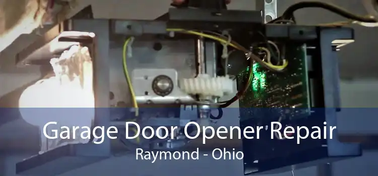 Garage Door Opener Repair Raymond - Ohio