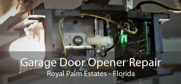 Garage Door Opener Repair Royal Palm Estates - Florida