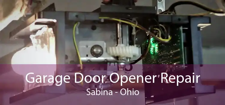 Garage Door Opener Repair Sabina - Ohio