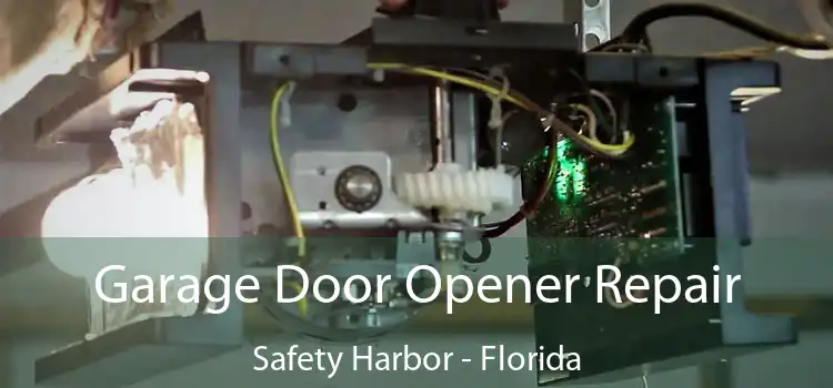 Garage Door Opener Repair Safety Harbor - Florida