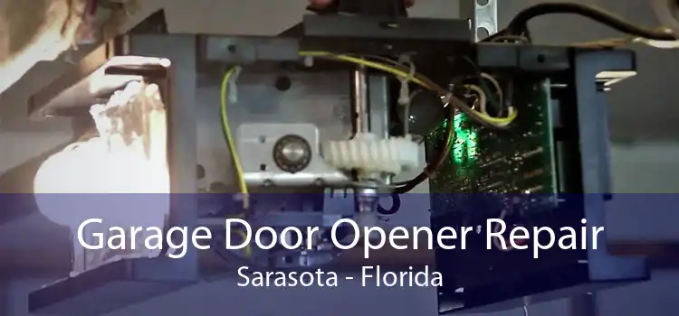 Garage Door Opener Repair Sarasota - Florida