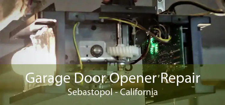 Garage Door Opener Repair Sebastopol - California