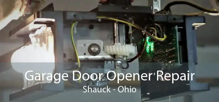 Garage Door Opener Repair Shauck - Ohio