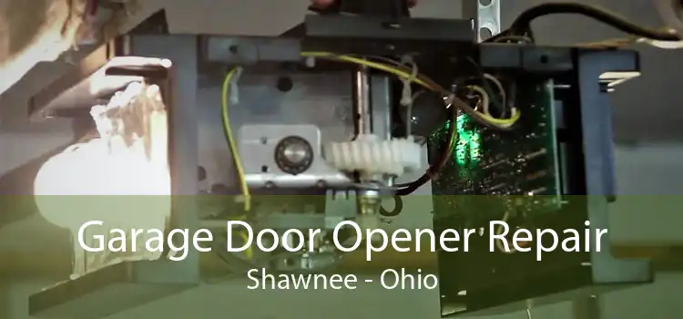 Garage Door Opener Repair Shawnee - Ohio