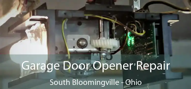 Garage Door Opener Repair South Bloomingville - Ohio