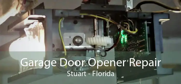 Garage Door Opener Repair Stuart - Florida
