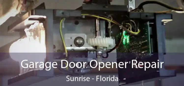 Garage Door Opener Repair Sunrise - Florida