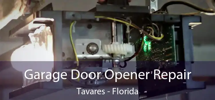 Garage Door Opener Repair Tavares - Florida