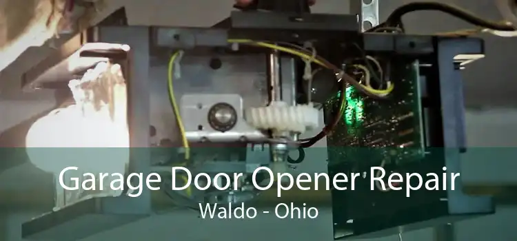 Garage Door Opener Repair Waldo - Ohio