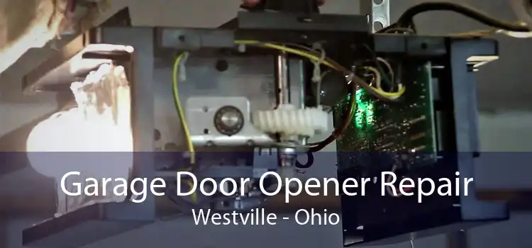 Garage Door Opener Repair Westville - Ohio