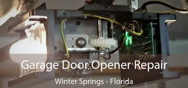 Garage Door Opener Repair Winter Springs - Florida