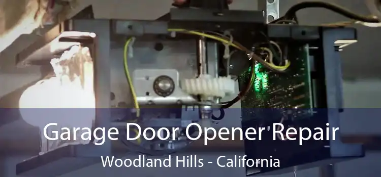 Garage Door Opener Repair Woodland Hills - California