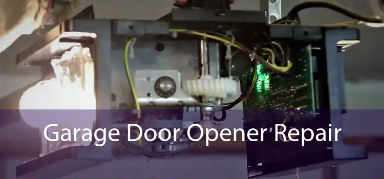 Garage Door Opener Repair 