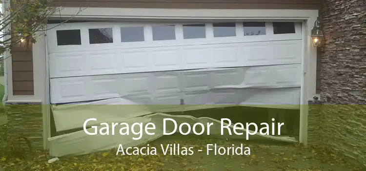 Garage Door Repair Acacia Villas - Florida