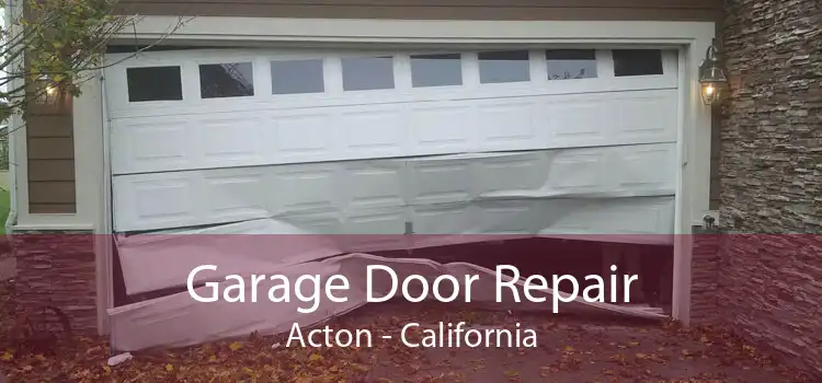 Garage Door Repair Acton - California